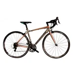 Bicicletas de ruta Bianchi 700 c YLBE5T502V precio