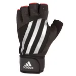 Guantes de Entrenamiento 1 1 1 1 1 1 1 1 1 precio