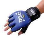 Guantes Everlast Grappling precio