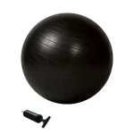 Balón Pilates EVOLUTION 85 cm precio