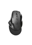 Mouse inalambrico USB Trust vergo ergonomico negro precio