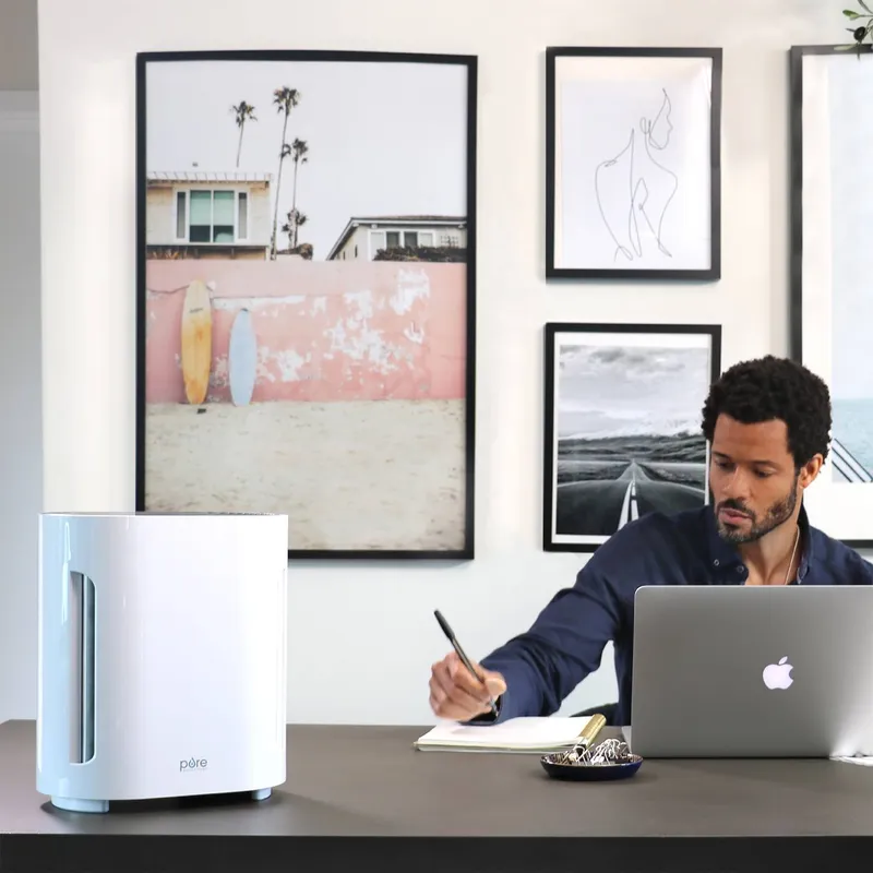 Purificador de Aire Pure Enrichment PureZone precio 1