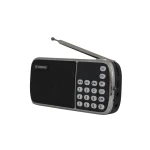 Radio parlante am fm portatil recargable Bluetooth precio