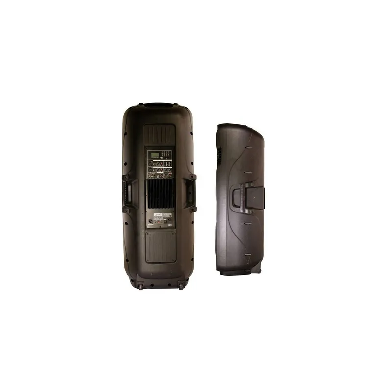 Cabina activa Stanford 2x15 pulgadas 2400 watts precio colombia