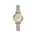 Reloj Fossil ES4834 precio